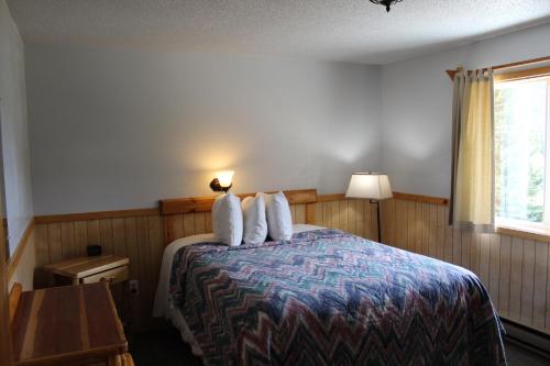 库克市阿尔卑库克市汽车旅馆的一间卧室配有一张带两个枕头的床