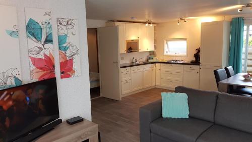 皮滕Modern en compleet chalet 22-15的带沙发的客厅和厨房