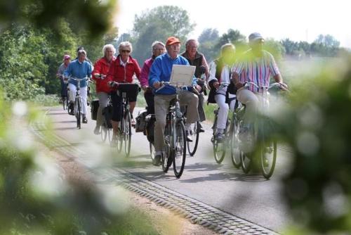 BeilenB&B de Sfeerhoeve的一群人骑着自行车沿着马路