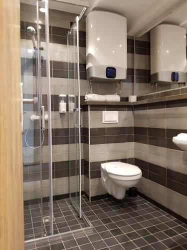 波德戈里察Hotel Resurs的一间带卫生间和玻璃淋浴间的浴室