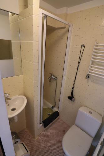 维尔纽斯奈尔加酒店的带淋浴、卫生间和盥洗盆的浴室