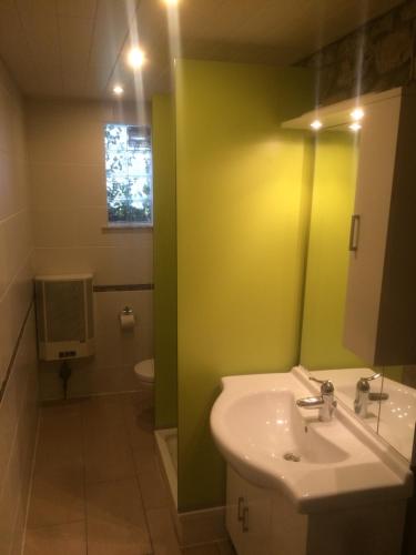 MontenauHaus Pauline的一间带水槽和绿色墙壁的浴室