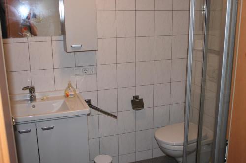 维克托尔斯博格Ferienwohnung mit Panoramablick的浴室配有卫生间、盥洗盆和淋浴。
