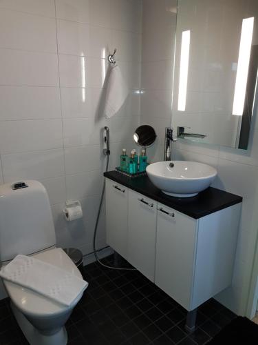 卡拉约基Rantahiekka B1的白色的浴室设有水槽和卫生间。
