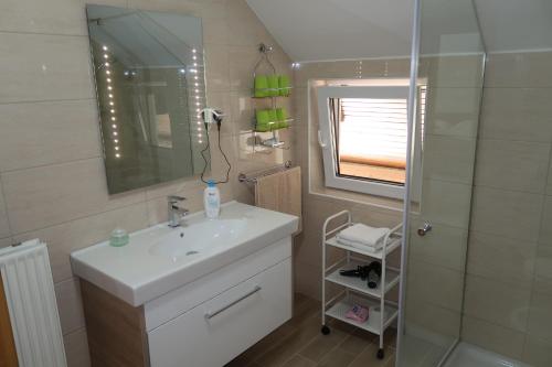 波希基斯卡贝拉Rooms Zupančič的一间带水槽、镜子和淋浴的浴室