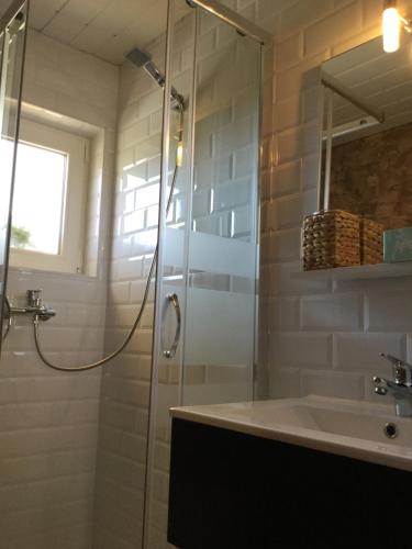 德尼亚Apartman Dénia的带淋浴和盥洗盆的浴室
