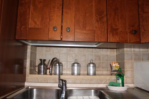 斯培西亚D.E.M.的一个带水槽和木柜的厨房台面