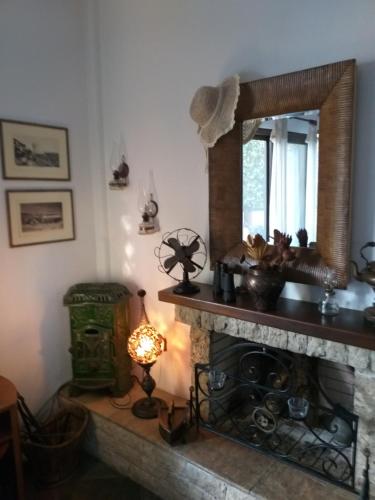波塞蒂Minthi的客厅设有壁炉和镜子