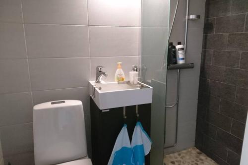 伊马特拉Vuoksi Apartment的一间带水槽和卫生间的浴室