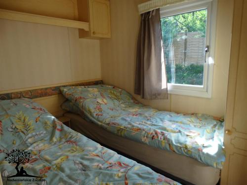 KozielecNadwiślańskie Zacisze的小型客房 - 带2张床和窗户