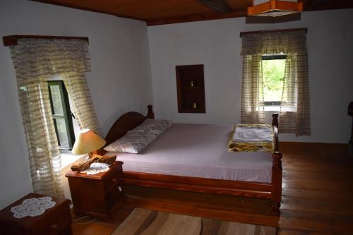LivariOld house Nilovic的一间卧室设有一张床和两个窗户。