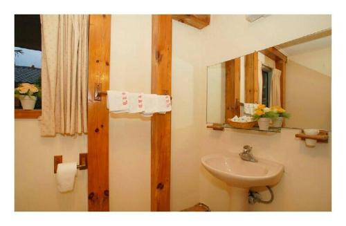 台东龙星花园度假木屋的一间带水槽和镜子的浴室