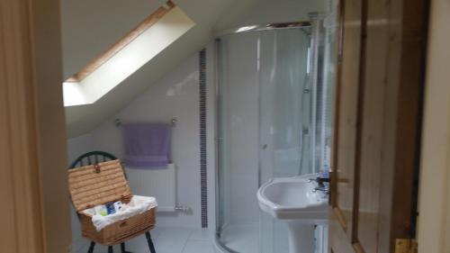 康镇Whitethorn Lodge, Bed & Breakfast, Lackafinna的带淋浴和盥洗盆的浴室