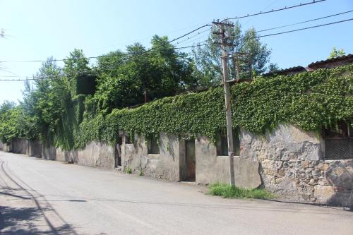 库塔伊西Zarzma的街道旁的石墙,有常春藤
