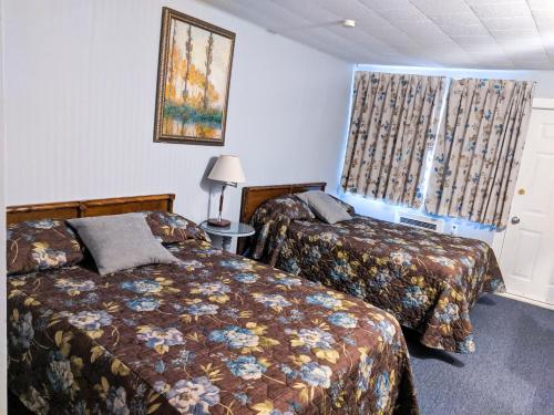 天际线汽车旅馆 客房内的一张或多张床位