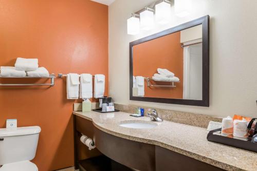 North Liberty北利伯蒂/科拉尔维尔司丽普酒店的一间带水槽、卫生间和镜子的浴室