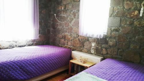 SfendoúrionHoliday Home in Sfendouri, Aegina的砖墙间内的两张紫色床