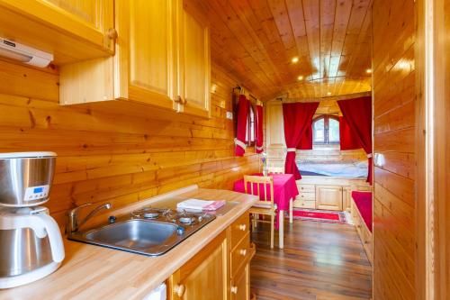 BlandasRoulotte-Quinta的厨房设有木墙和带水槽的台面。