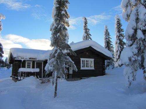 SvingvollKoselig familiehytte sentralt på Skeikampen til leie的雪地里的小木屋,有雪覆盖的树木