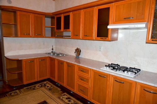 奥什Astoria B&B的厨房配有木制橱柜、水槽和炉灶。