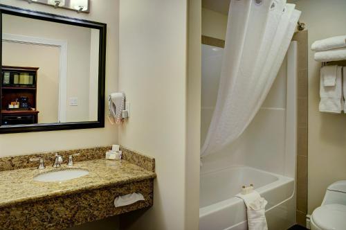埃德蒙顿新星黄头堡酒店的一间带水槽、浴缸和镜子的浴室