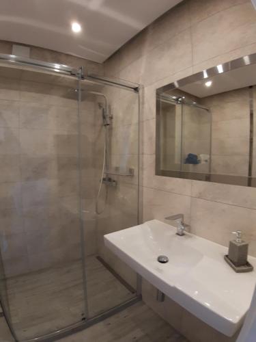 济夫努夫Gardenia Seaside Apartament 34的一间带水槽和玻璃淋浴的浴室
