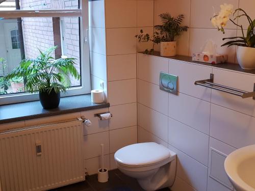 格雷沃斯米伦Ferienwohnung in Ostseenähe的一间带卫生间、水槽和窗户的浴室
