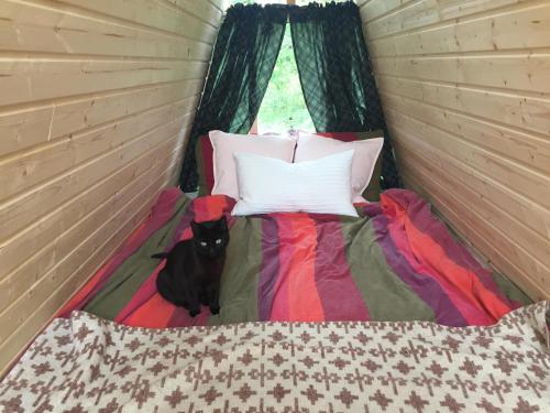 LaitilaTriangle Cabin的一只黑猫坐在房间里的床边