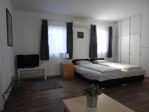 鲍洛托瑙考利Akali studio apartments的一间带两张床和电视的客厅