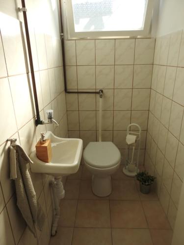 鲍洛托瑙考利Akali studio apartments的一间带卫生间和水槽的浴室