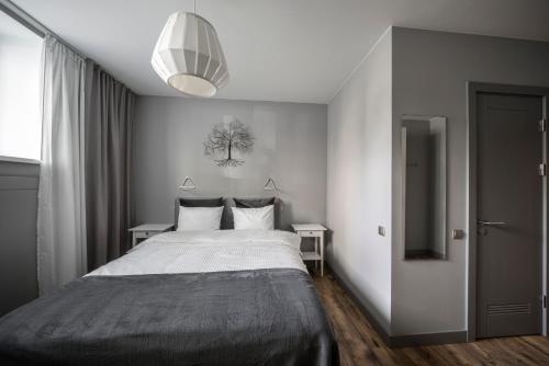里加Hotel Saida - quality hostel的一间卧室配有一张床和吊灯