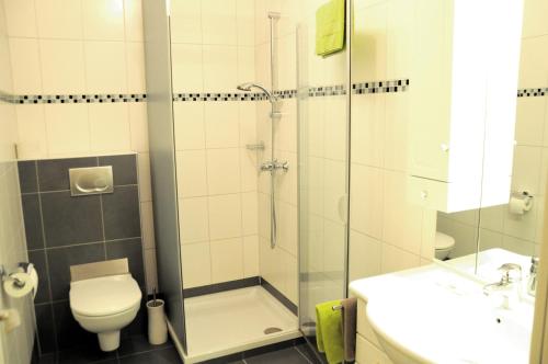 HarbachCafé-Pension Kristall的带淋浴、卫生间和盥洗盆的浴室