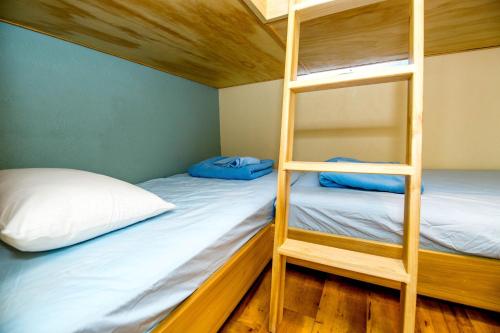 怀尔德伍德蓝色棕榈汽车旅馆的带梯子的客房内的两张双层床