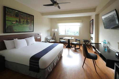 齐克拉约齐克拉约卡萨安迪娜精选酒店的酒店客房设有一张大床和一张书桌。
