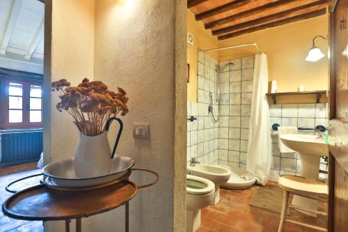 Il Vichiaccio Country House的一间浴室