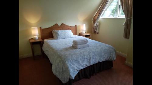波塔姆纳Lodge in Portumna Ireland的一间卧室配有一张床,上面有两条毛巾