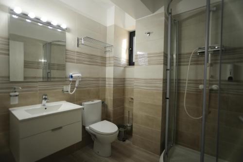 北马马亚-讷沃达里Hotel Dedal的浴室配有卫生间、淋浴和盥洗盆。