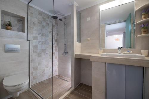 瓦西利基Casa Demi的带淋浴、卫生间和盥洗盆的浴室