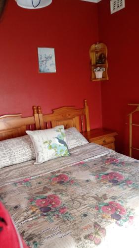 VerulamNonkululeko Accommodation 2的一间卧室设有一张带红色墙壁的大床