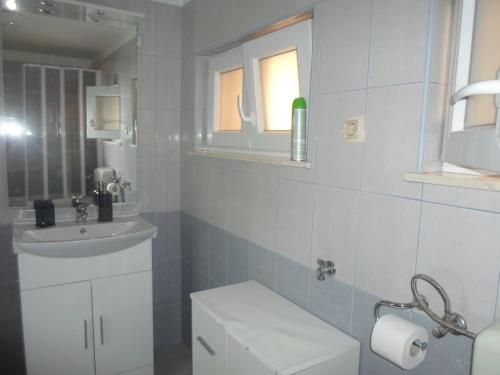 Apartments Golić的一间浴室