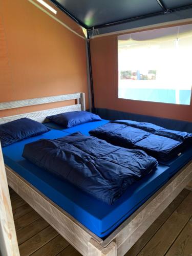 波雷奇Easyatent FKK Safari tent Ulika Naturist - clothes free的一张位于带蓝色床单和枕头的客房的床位