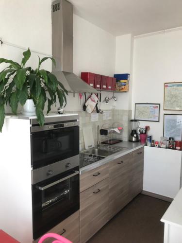 斯特拉斯堡Appartements chez Tante Germaine - Proximité Institutions Européennes的厨房配有不锈钢炉灶和植物