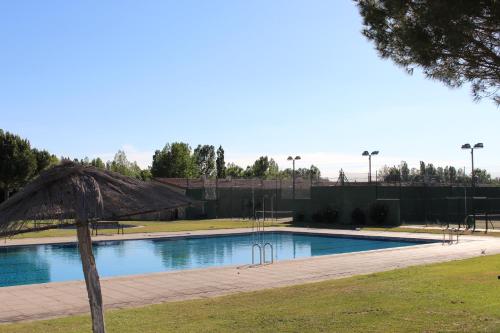 阿维拉Vettonia的公园内一个带草伞的游泳池