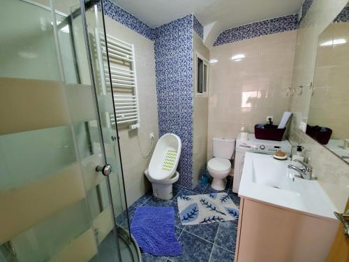 阿利坎特Gutierrez Apartment的浴室配有卫生间、盥洗盆和淋浴。