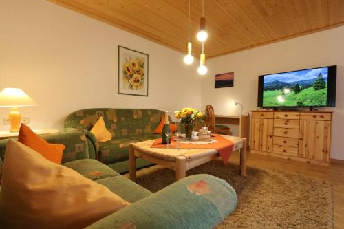黑林山区贝尔瑙Ferienwohnungen Panoramablick的带沙发和电视的客厅