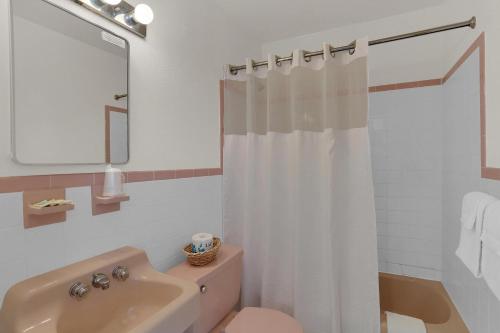 威尔伍德克拉斯特Ala Kai Resort Motel的浴室配有淋浴帘和盥洗盆。