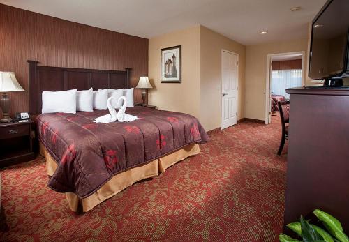 安纳海姆阿纳海姆城堡套房酒店的配有一张床和一台平面电视的酒店客房