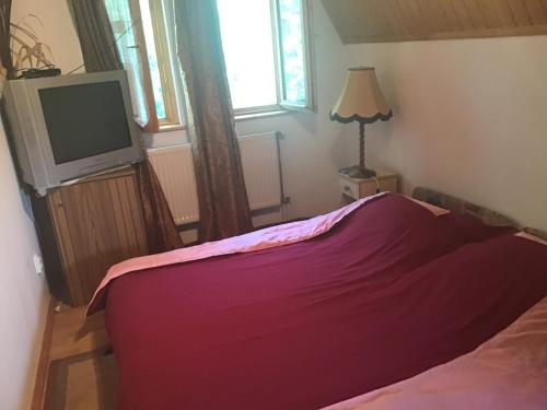TiszaderzsVan egy ház a Tisza parton的一间卧室配有红色的床和电视
