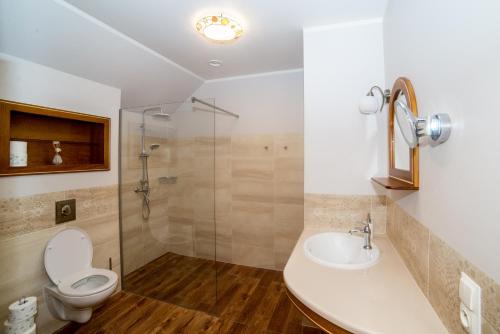 RaszówApartamenty Romanowka的浴室配有卫生间、盥洗盆和淋浴。