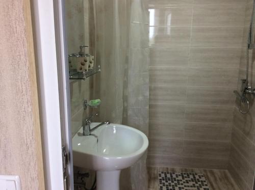 西格纳吉GUEST HOUSE DAVID的一间带水槽、卫生间和淋浴的浴室